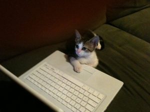 You will have to do Data Entry to get paid